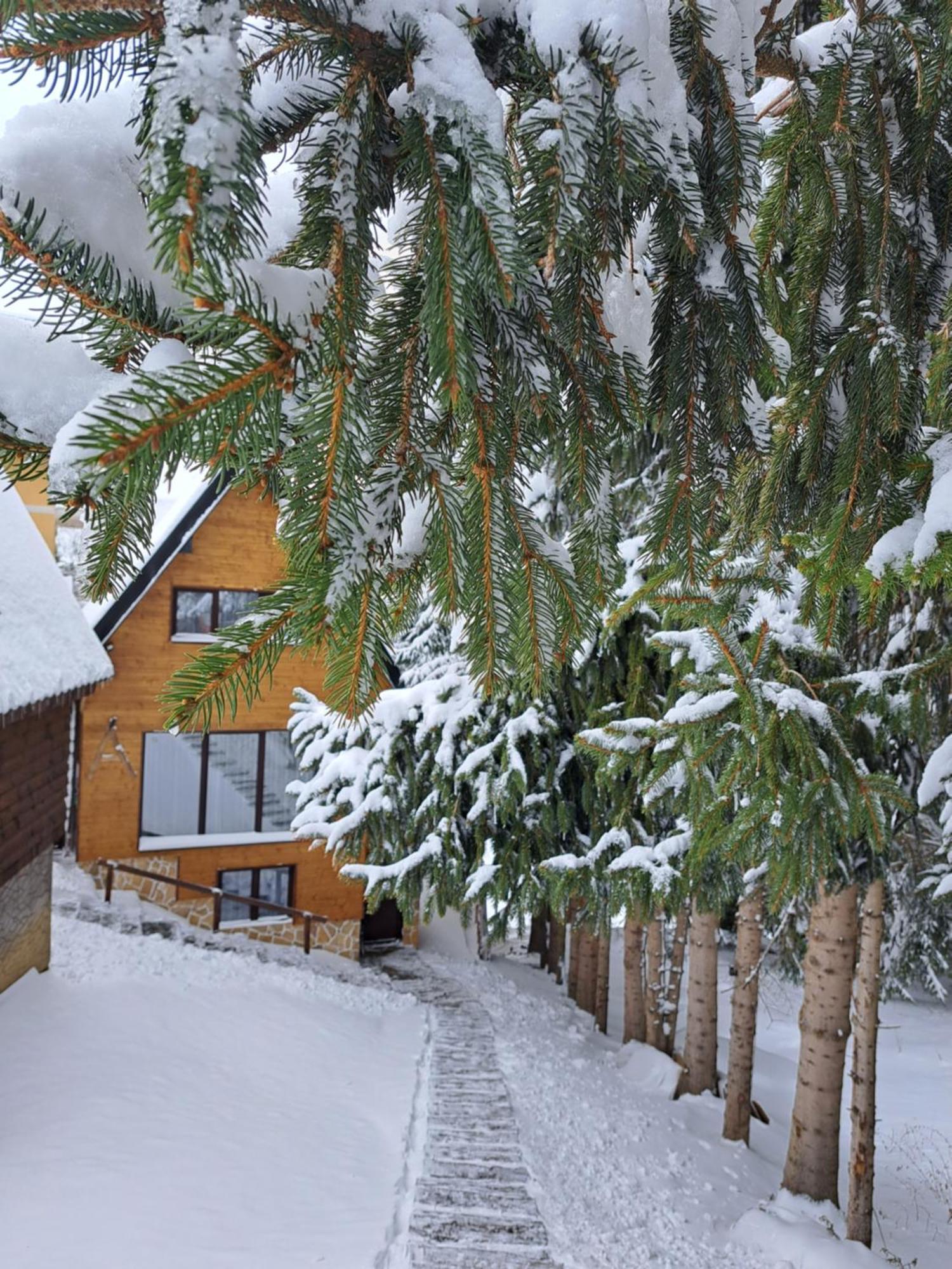 Villa Zagorka And Mountain Houses A, M, D 카파오닉 외부 사진